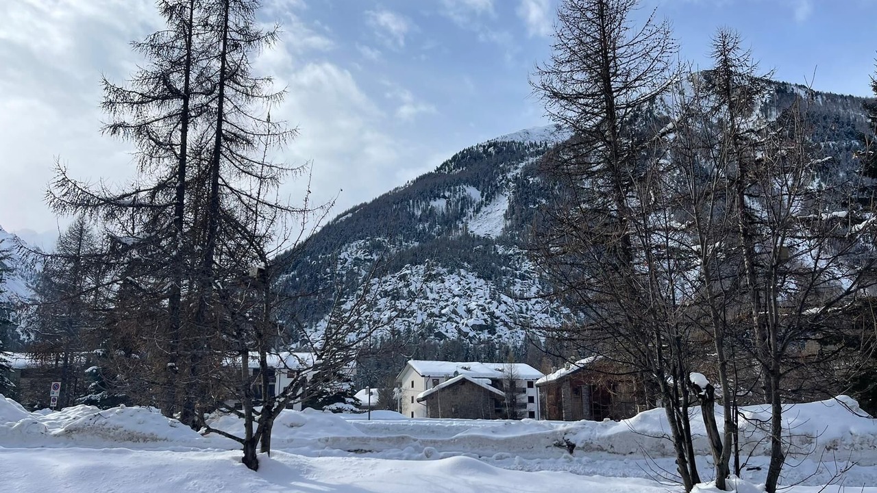 Photo of Others in Cogne
