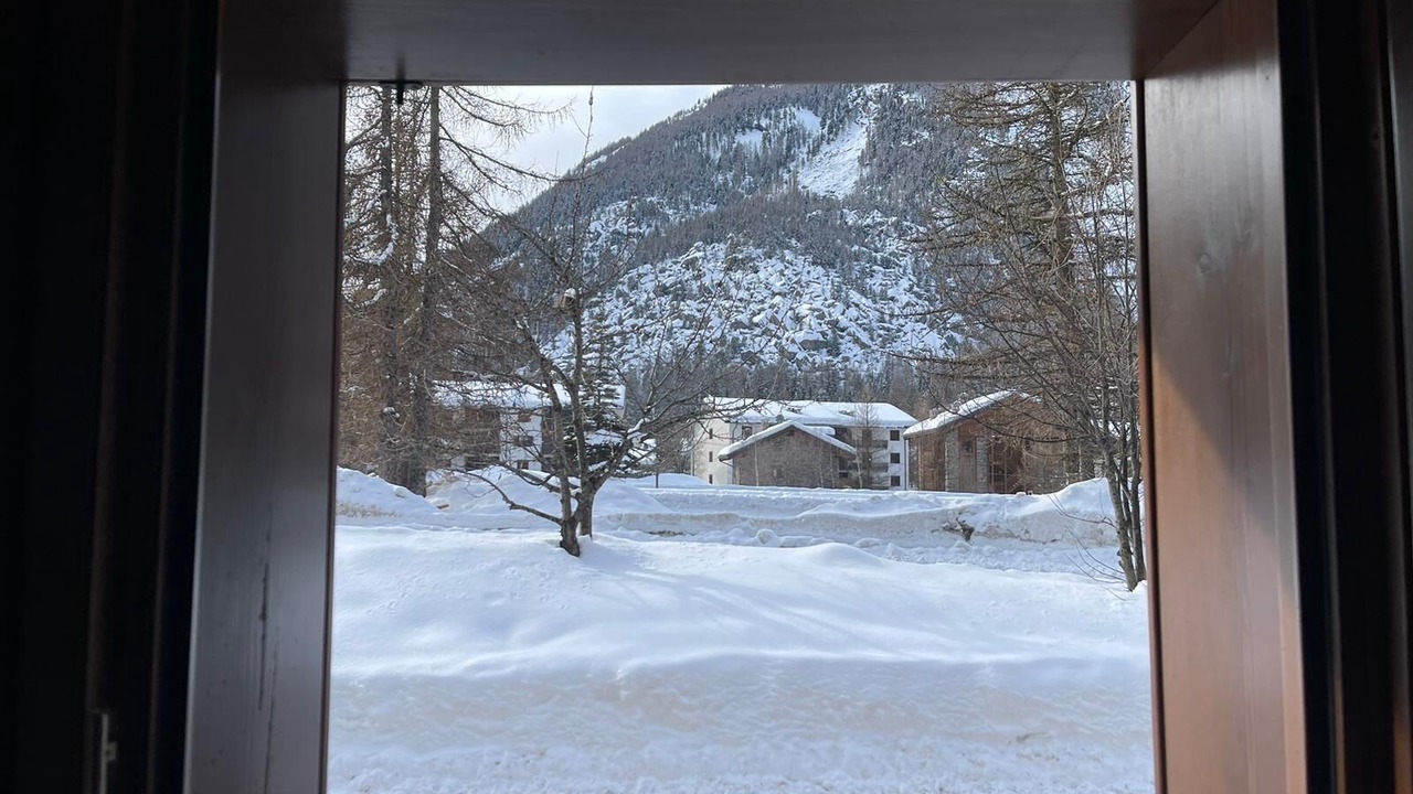 Photo of Others in Cogne