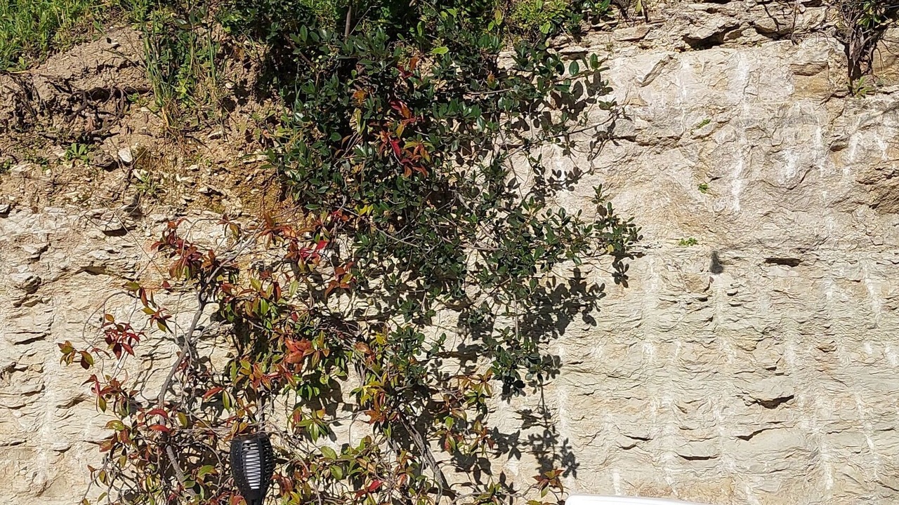 Photo of Outdoor in Toffia