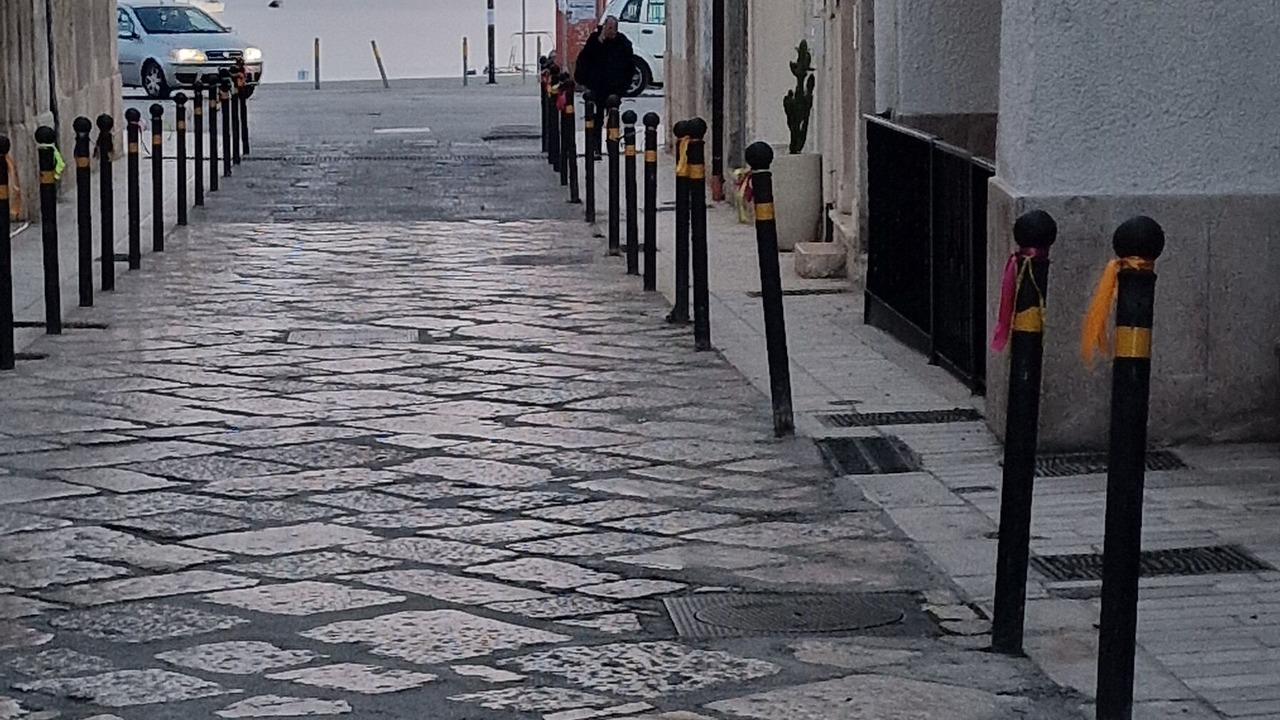 Photo of Others in Manfredonia