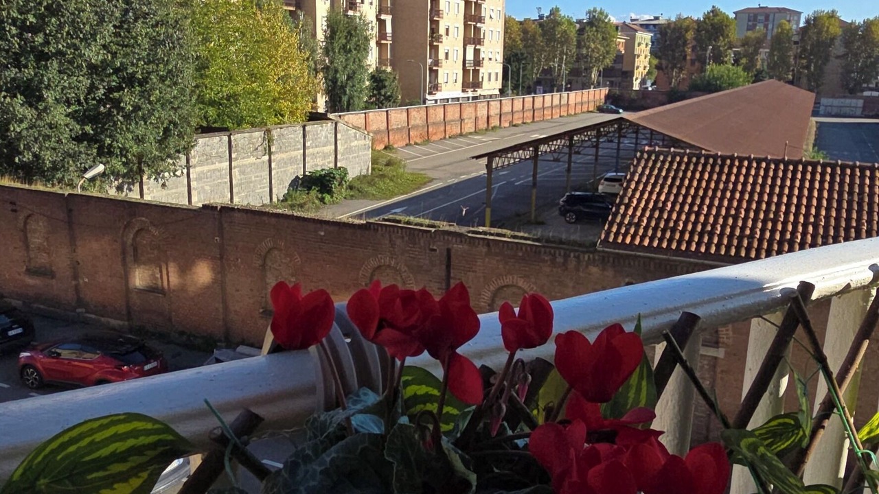 Photo of Outdoor in Alessandria