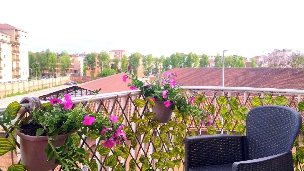 Photo of Outdoor in Alessandria