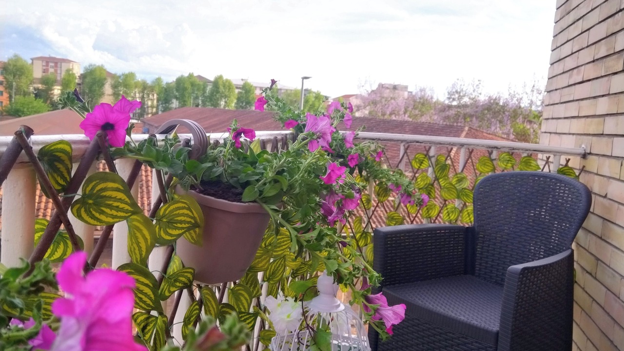 Photo of Patio Balcony in Alessandria