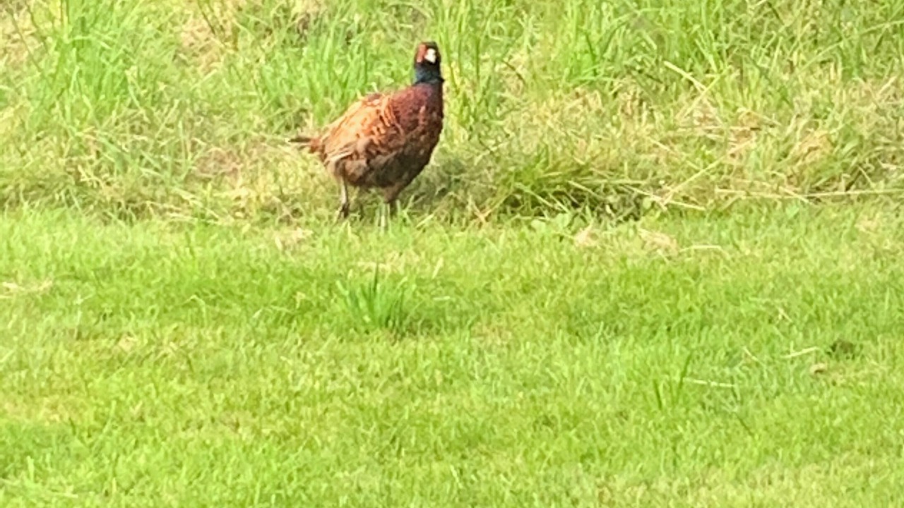 Photo of Others in Aboyne