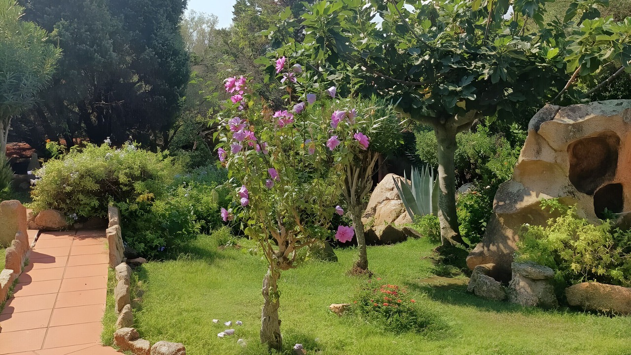 Photo of Outdoor in Tiriddo