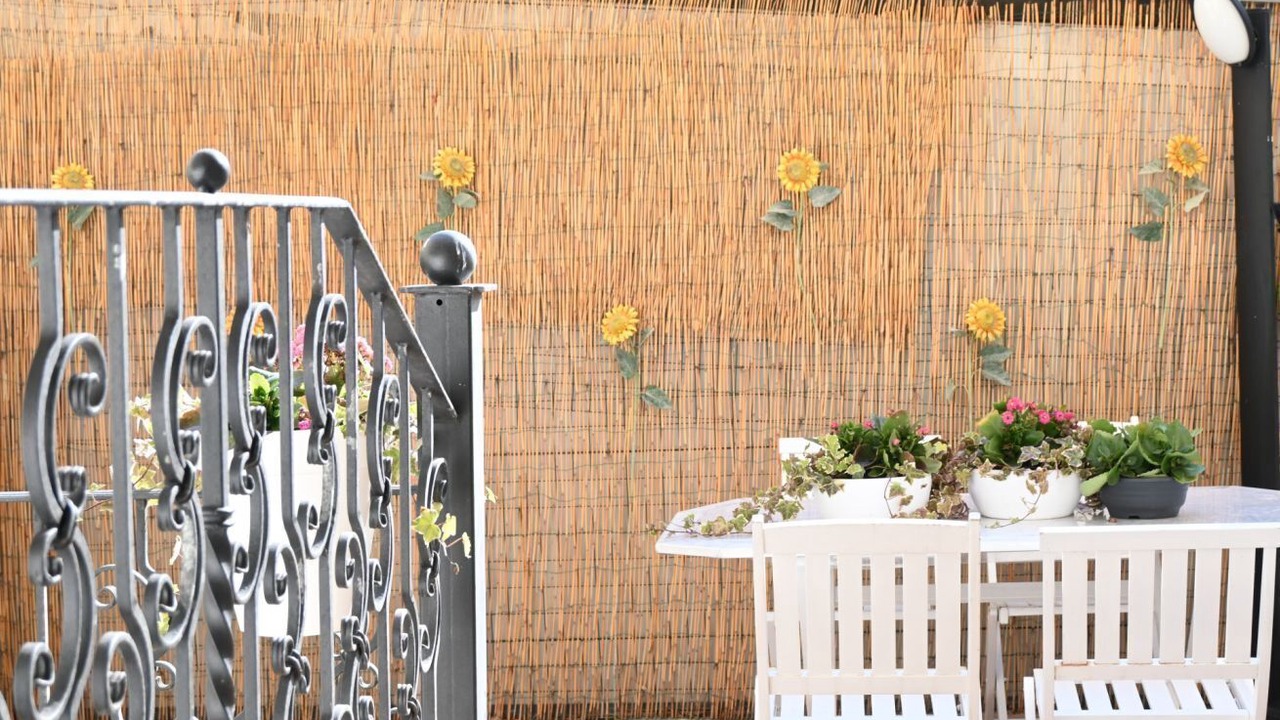 Photo of Outdoor in Porto Recanati