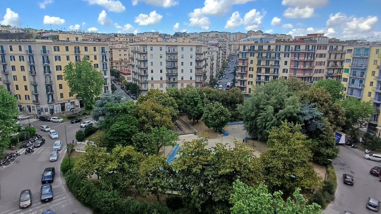 Photo of Others in Arenella