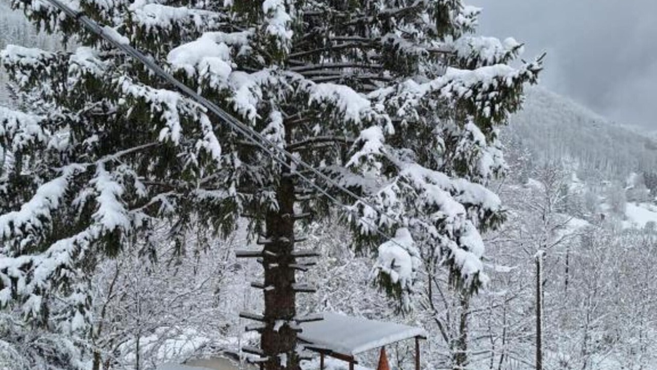 Photo of Outdoor in Santo Stefano dʼAveto