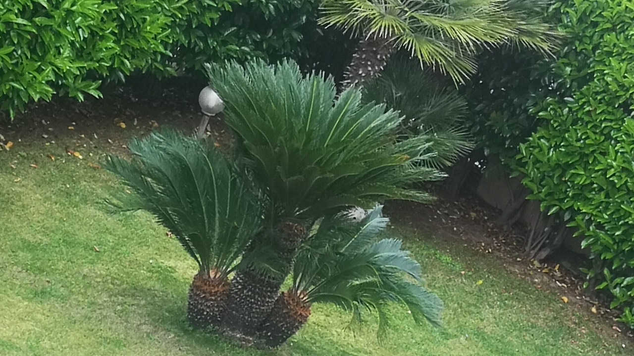 Photo of Outdoor in Campagnano di Roma