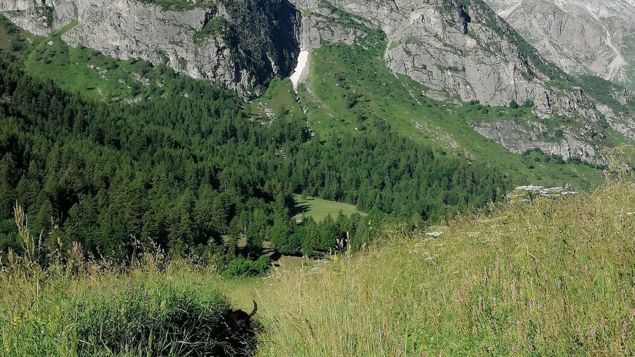 Photo of Others in Bellino