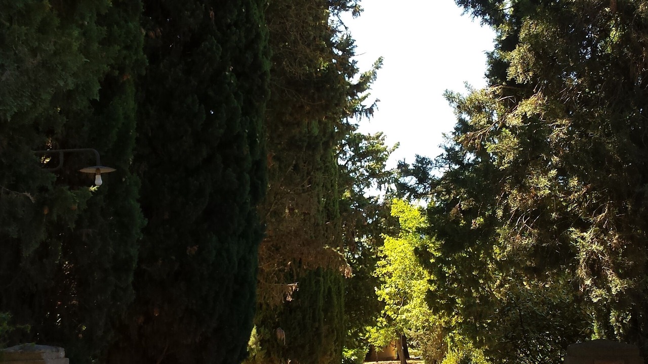 Photo of Others in Cignan Bianco