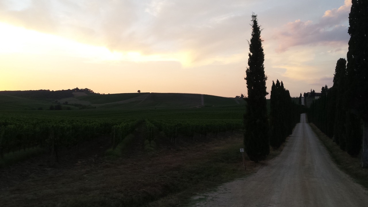 Photo of Others in Cignan Bianco