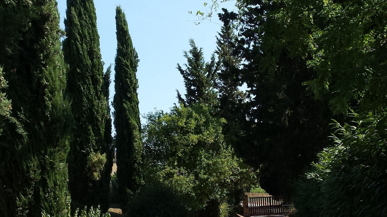 Photo of Others in Cignan Bianco