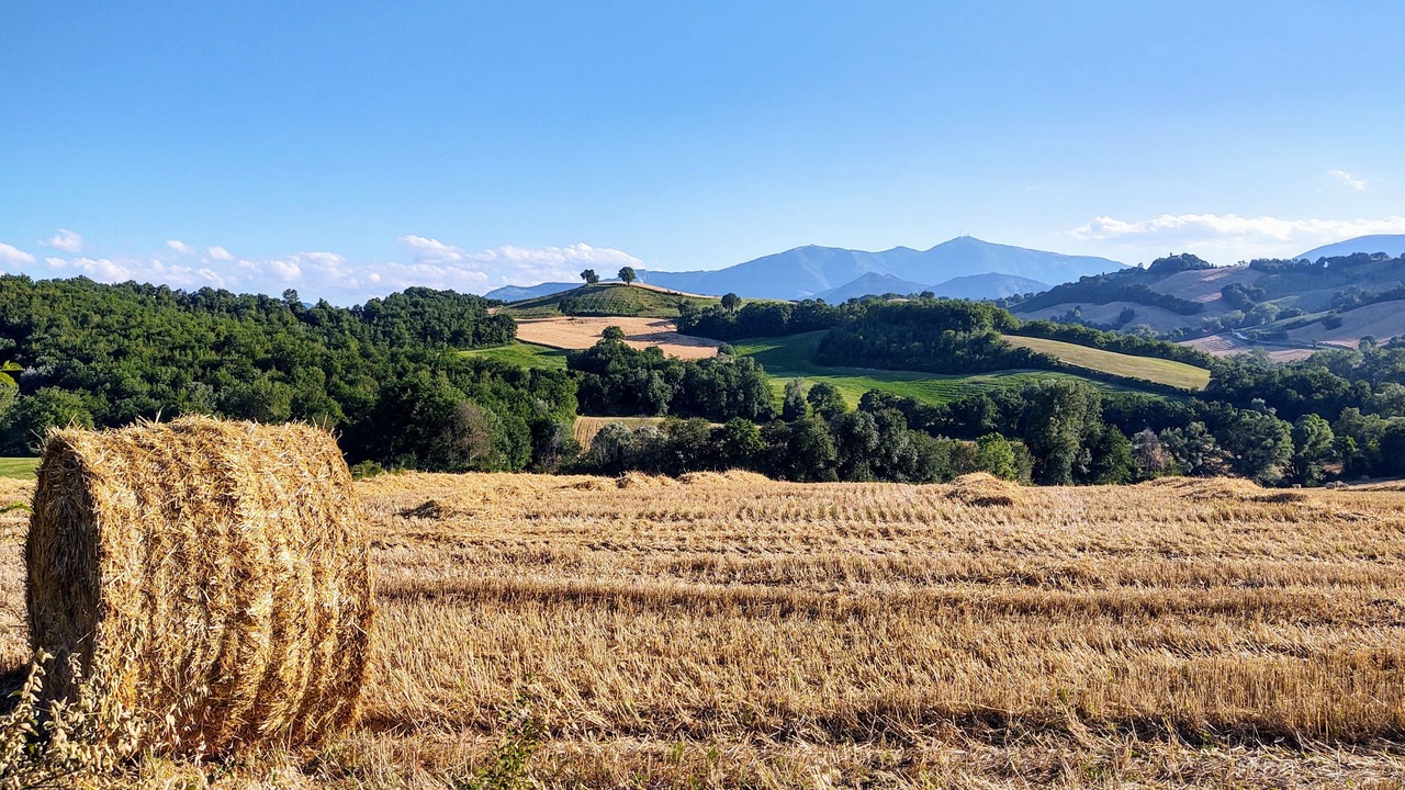 Photo of Others in Fermignano