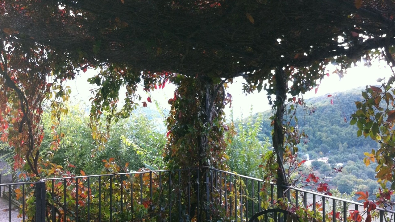 Photo of Outdoor in Arcidosso