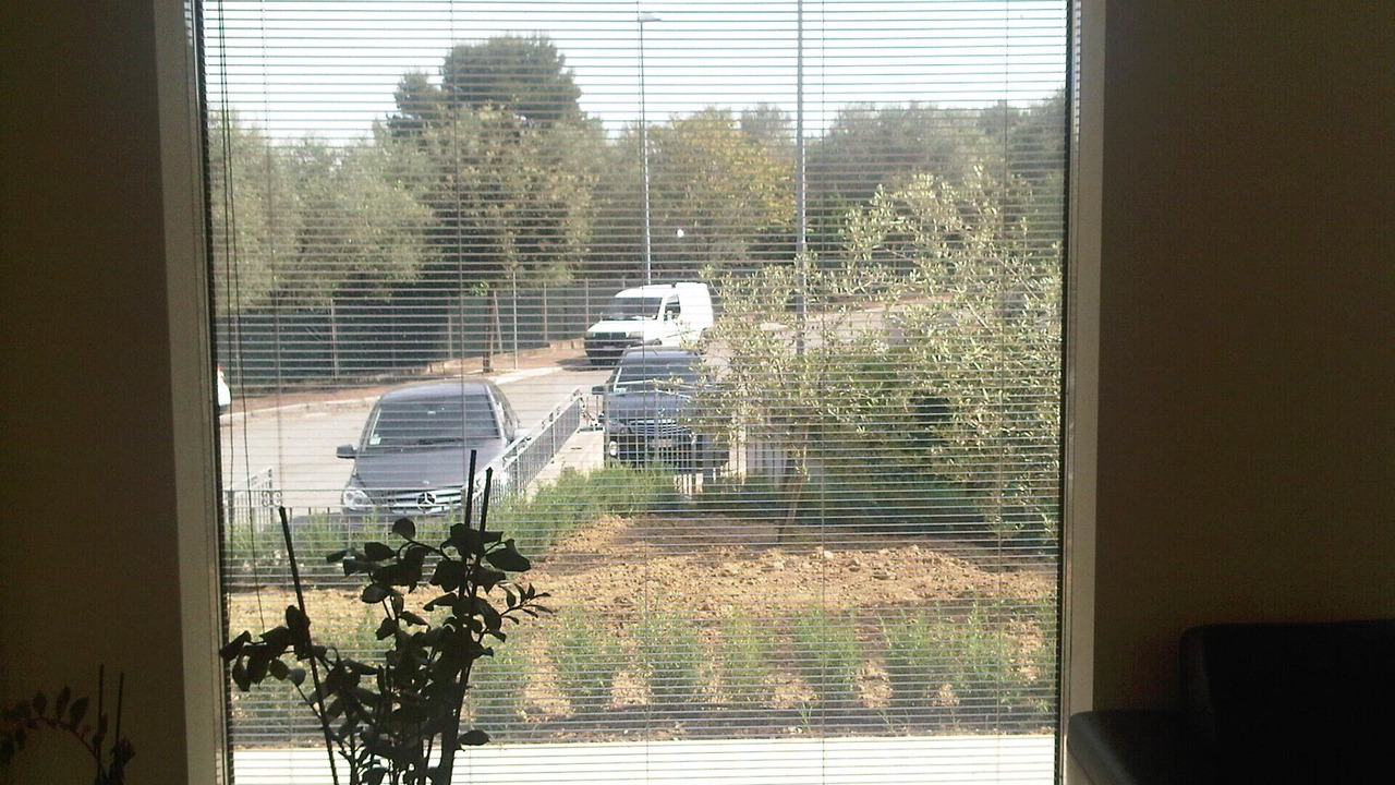 Photo of Others in Misano Adriatico