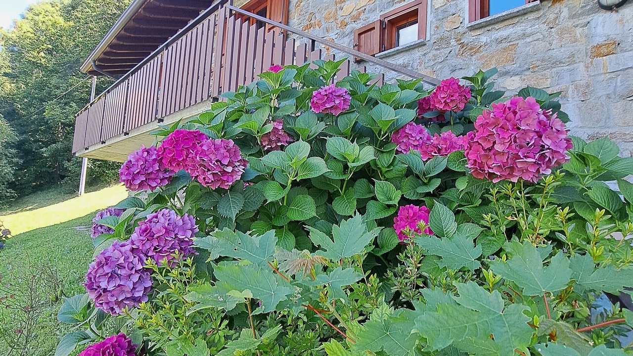 Photo of Outdoor in Morbegno
