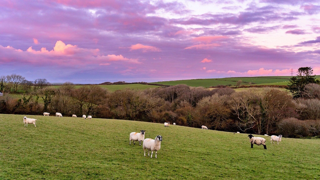 Photo of Outdoor in Boscastle