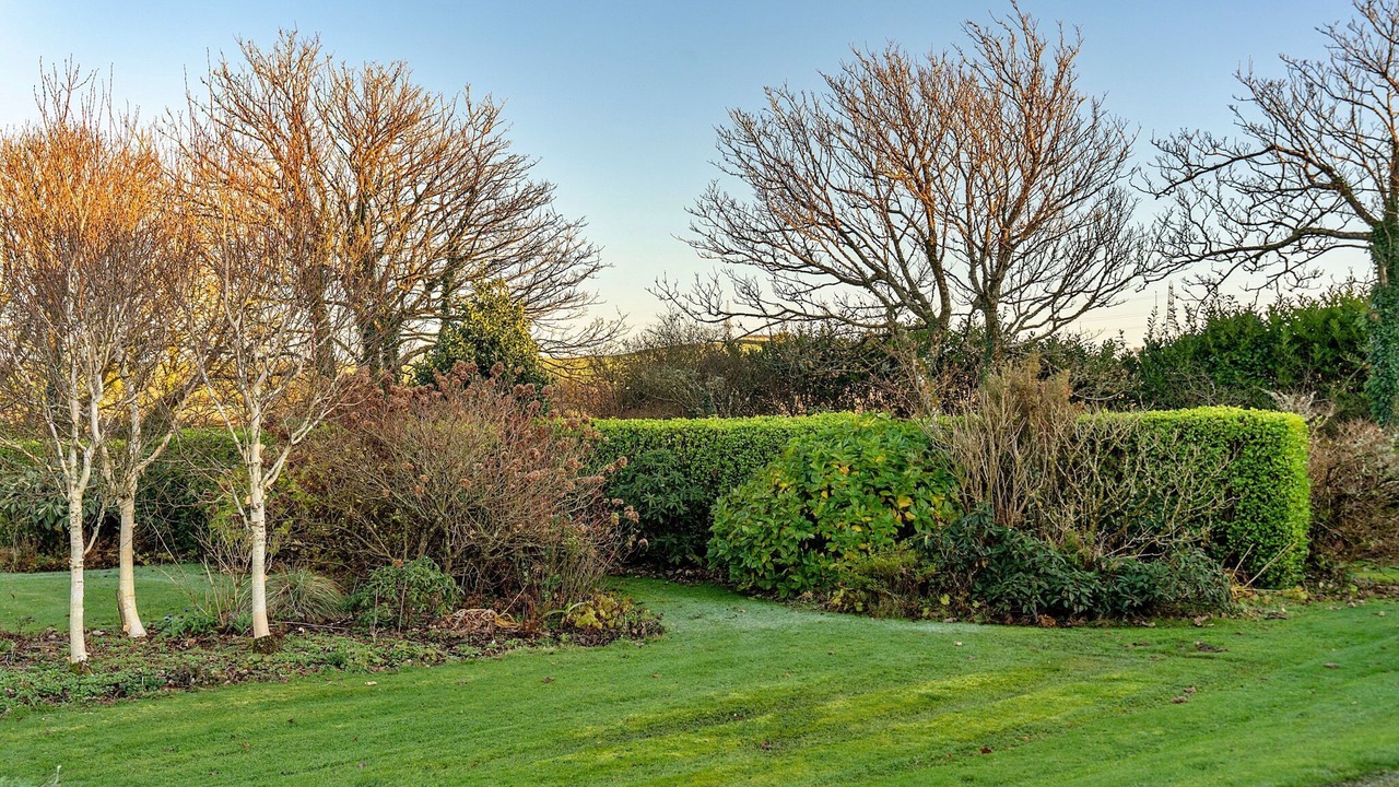 Photo of Outdoor in Boscastle