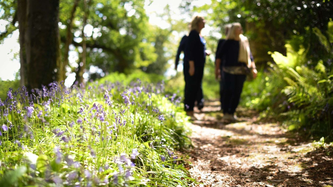 Photo of Outdoor in Saltash