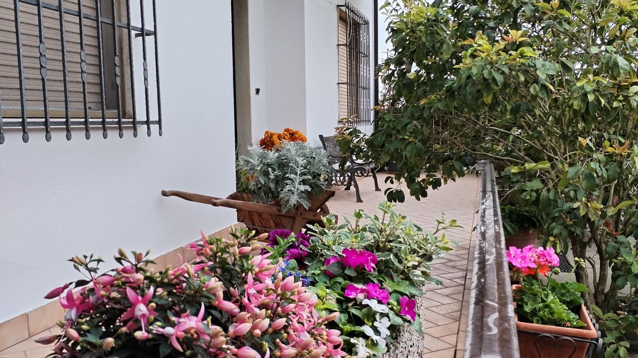 Photo of Outdoor in Gazzo Veronese
