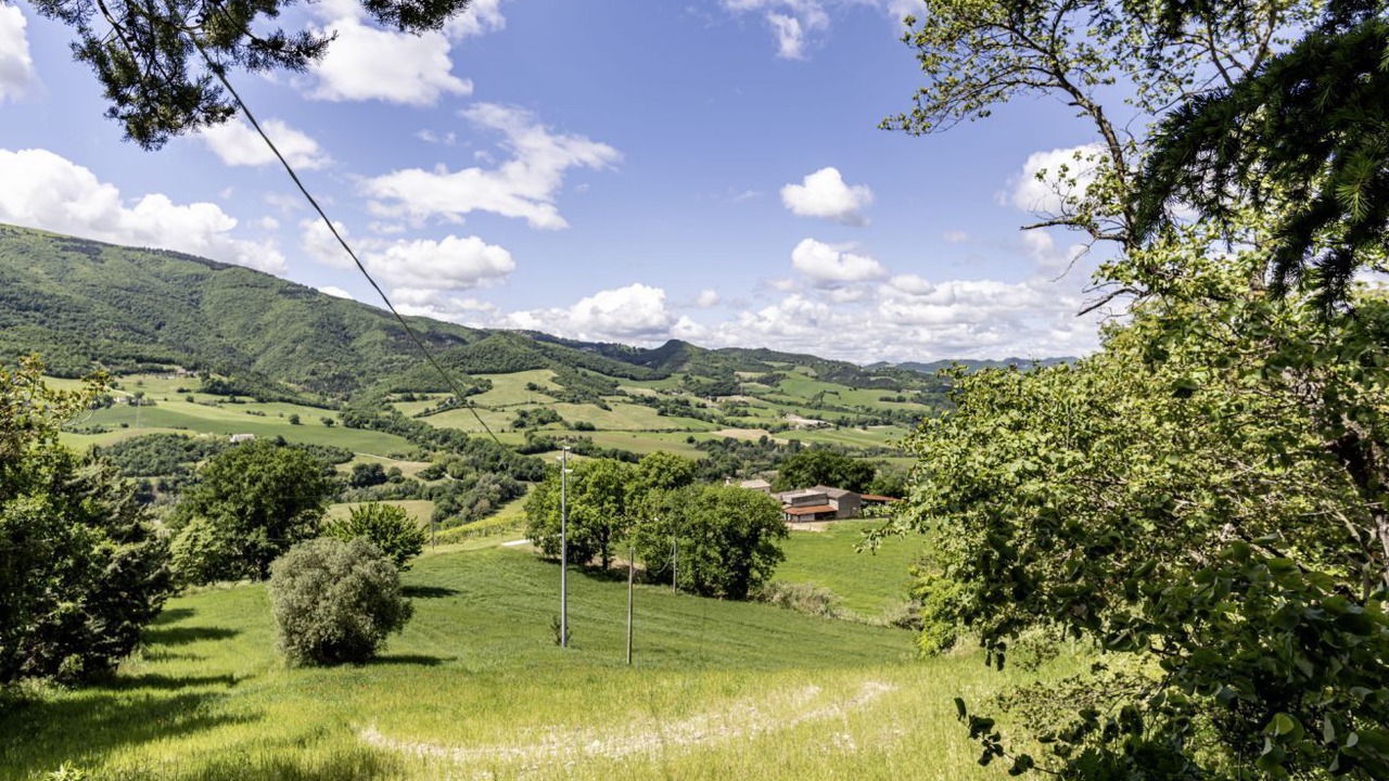 Photo of Others in Calmazzo