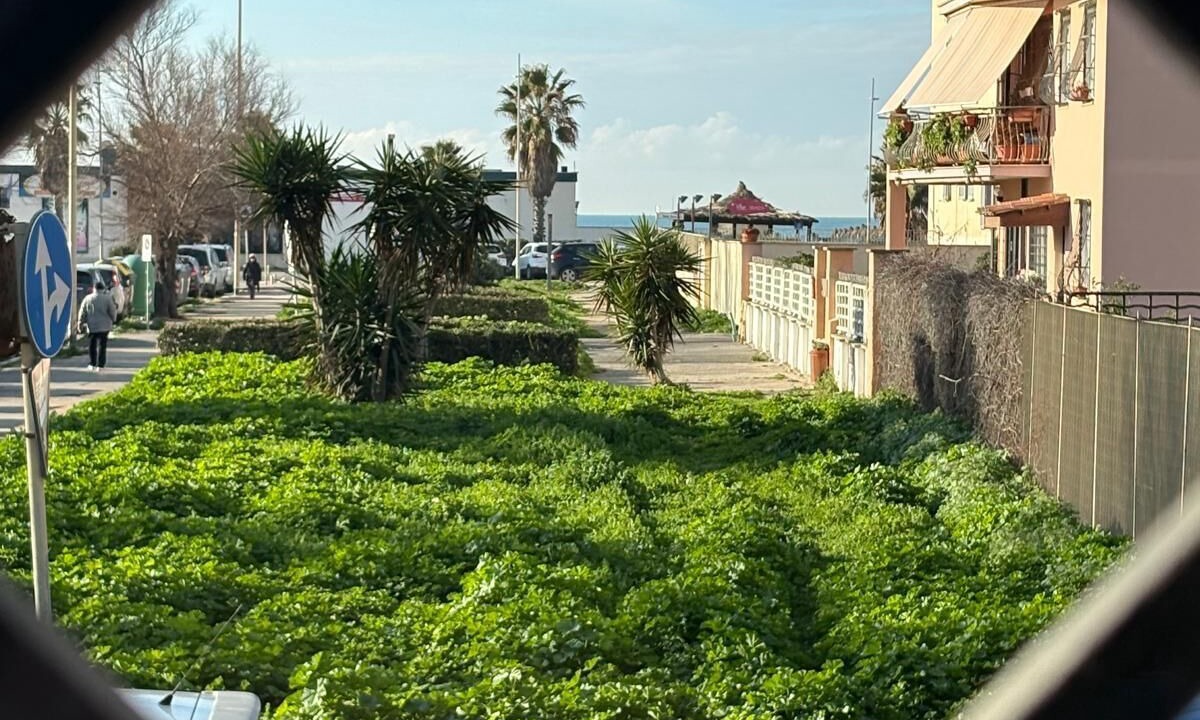 Photo of Others in Quartiere XXXIII Lido di Ostia Ponente