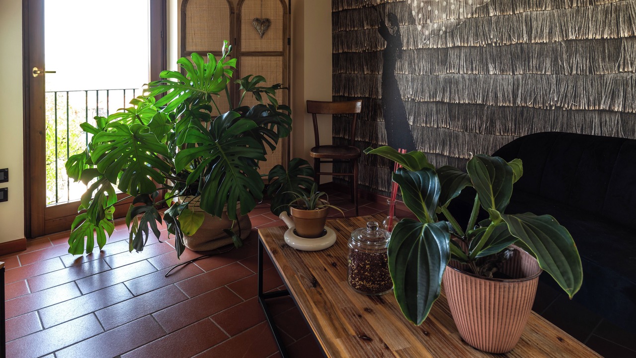 Photo of Livingroom in Gavardo