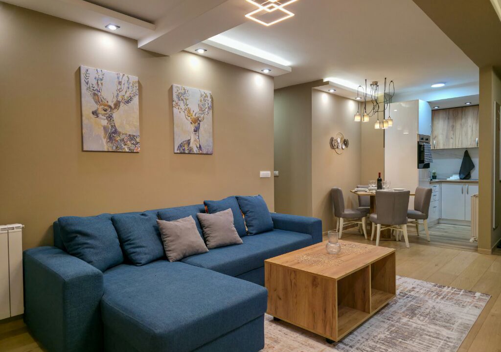 Photo of Livingroom in Vracar