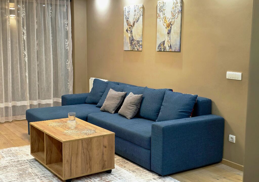 Photo of Livingroom in Vracar