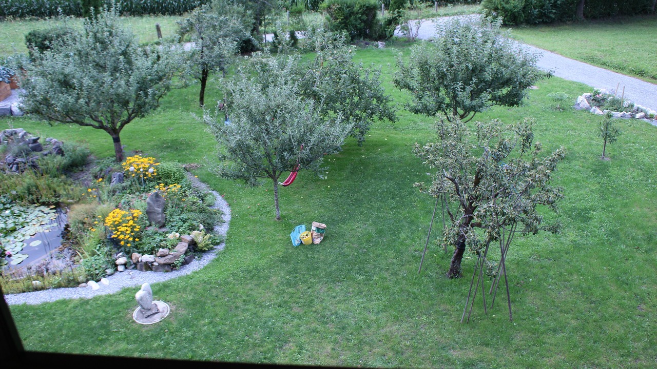 Photo of Outdoor in Meiringen
