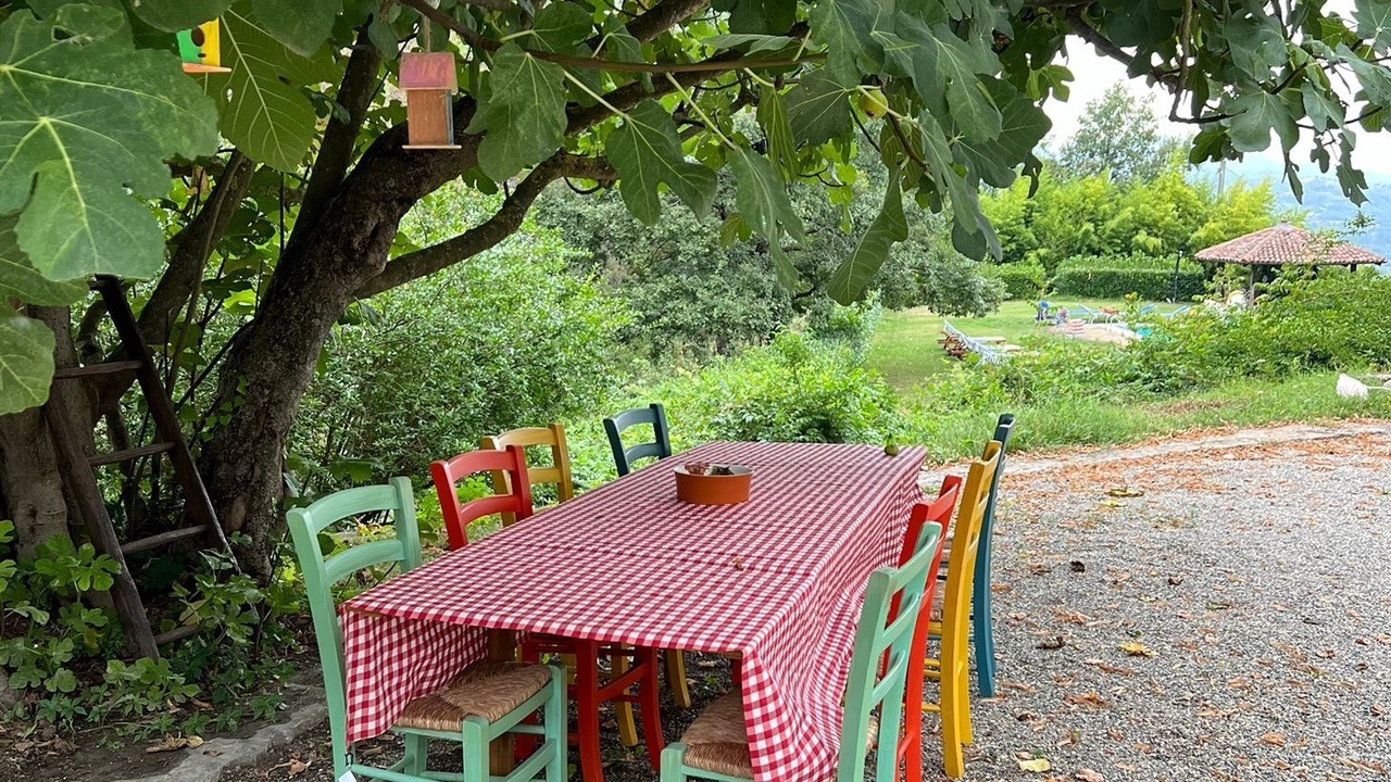 Photo of Outdoor in Melazzo