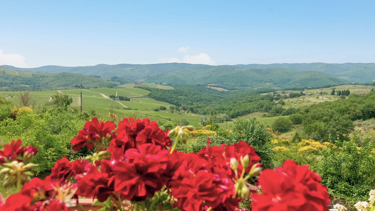 Photo of Others in Panzano in Chianti