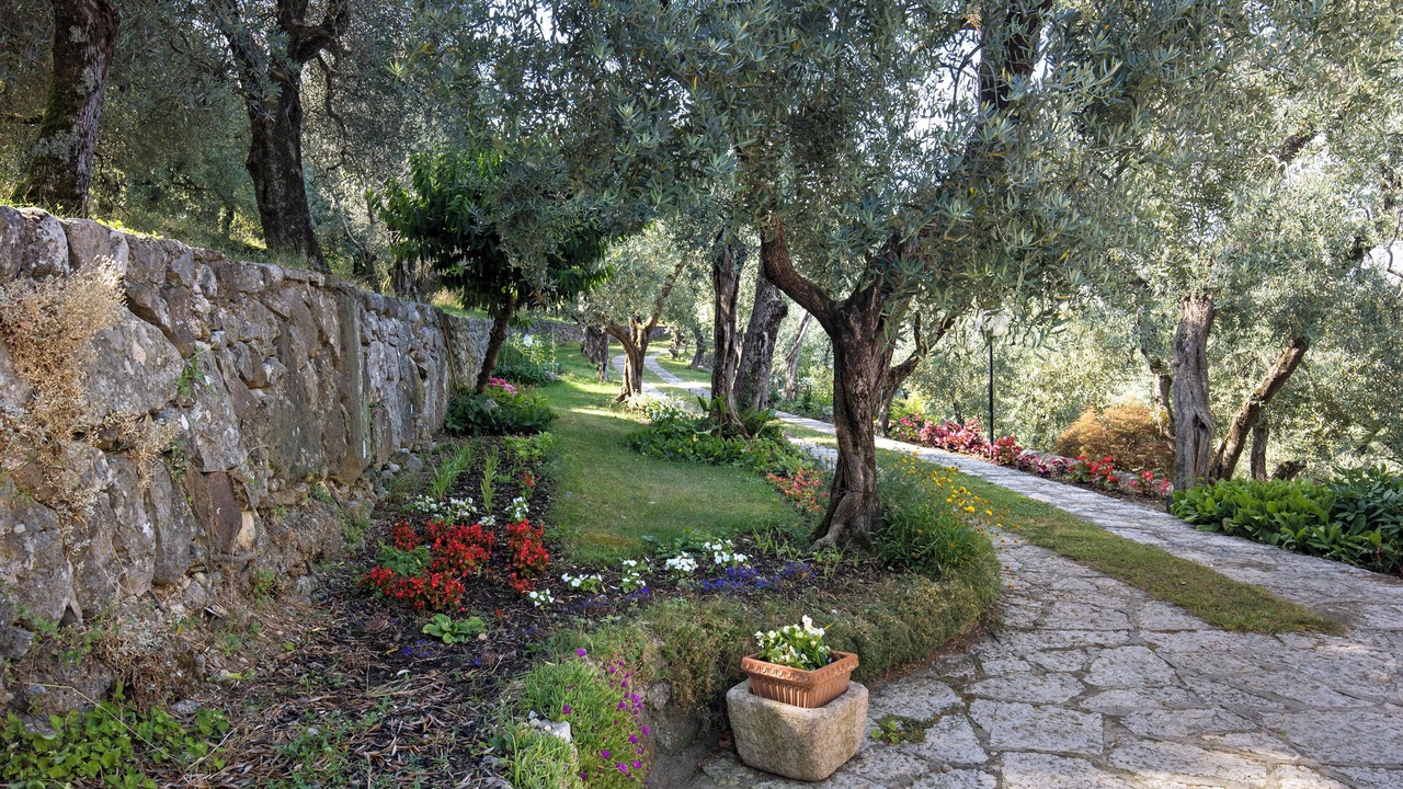 Photo of Outdoor in Albisano
