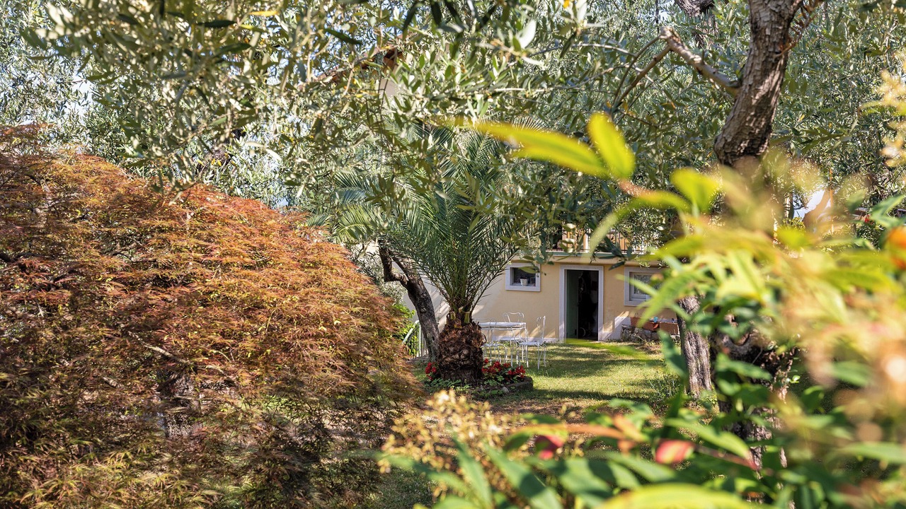 Photo of Outdoor in Albisano