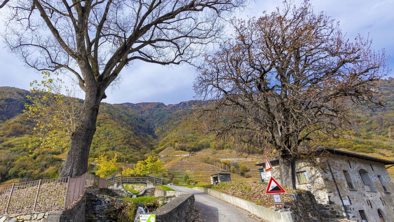 Photo of Others in Villa di Tirano