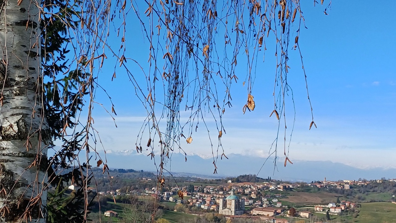 Photo of Others in Vicoforte