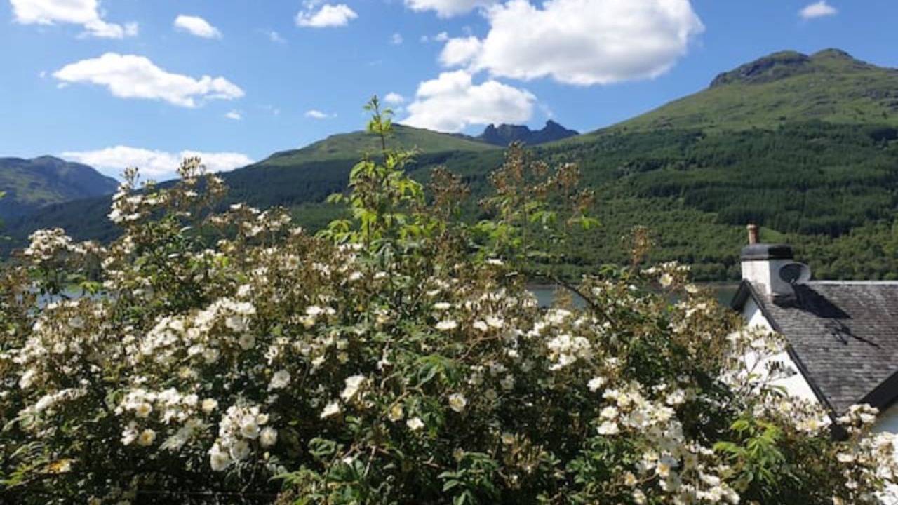 Photo of Others in Arrochar