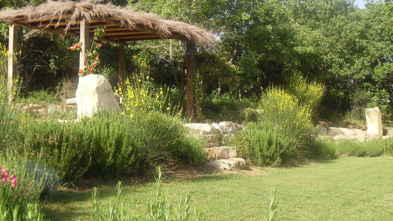 Photo of Outdoor in Castellina in Chianti