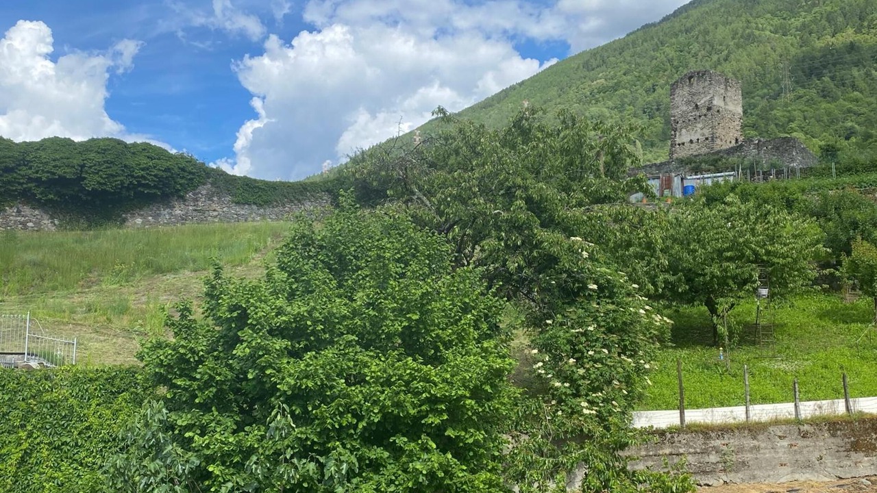 Photo of Others in Tirano