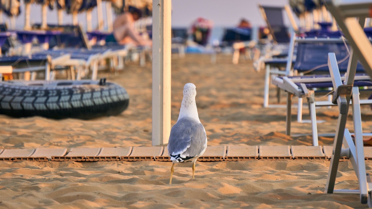 Photo of Others in Lignano Sabbiadoro