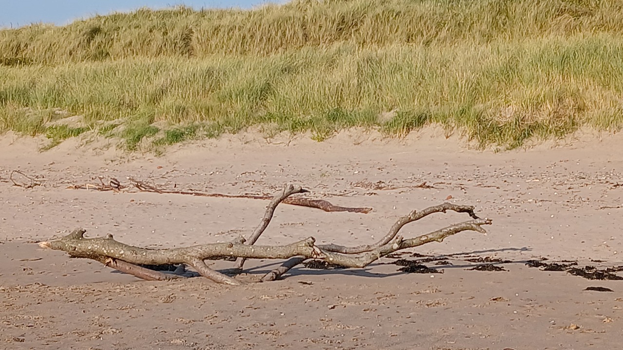 Photo of Others in Prestwick