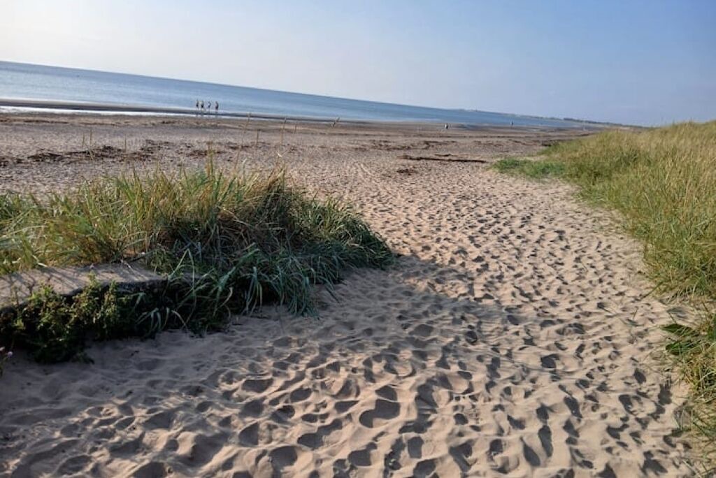Photo of Others in Prestwick
