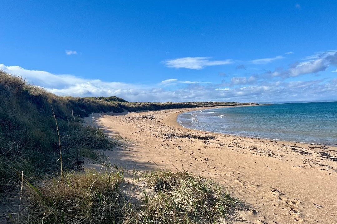 Photo of Others in Kingsbarns