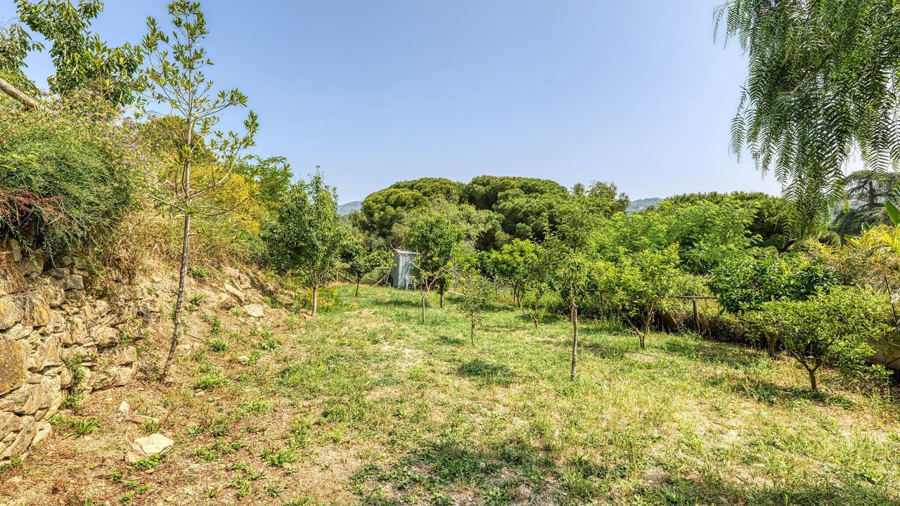 Photo of Others in Caramagna Ligure