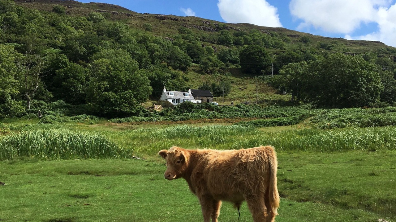 Photo of Others in Ulva