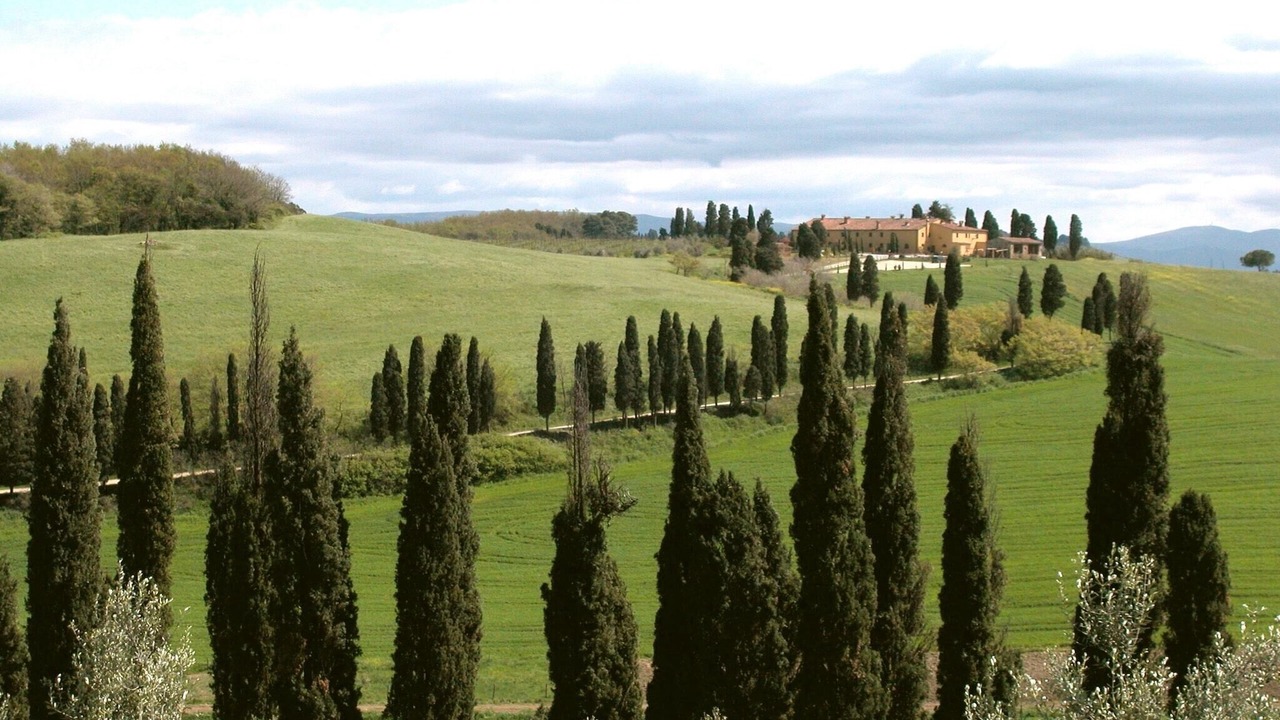 Photo of Others in Collesalvetti