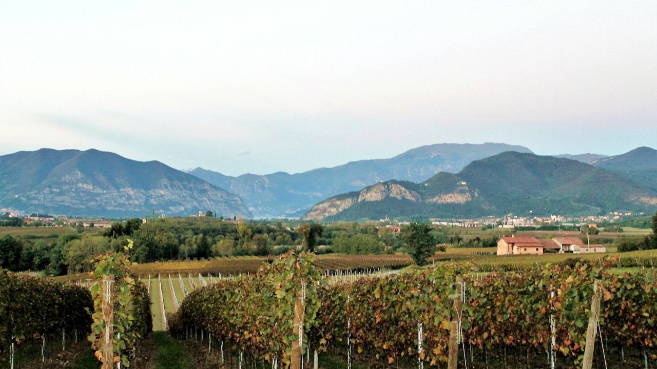 Photo of Others in Monterotondo