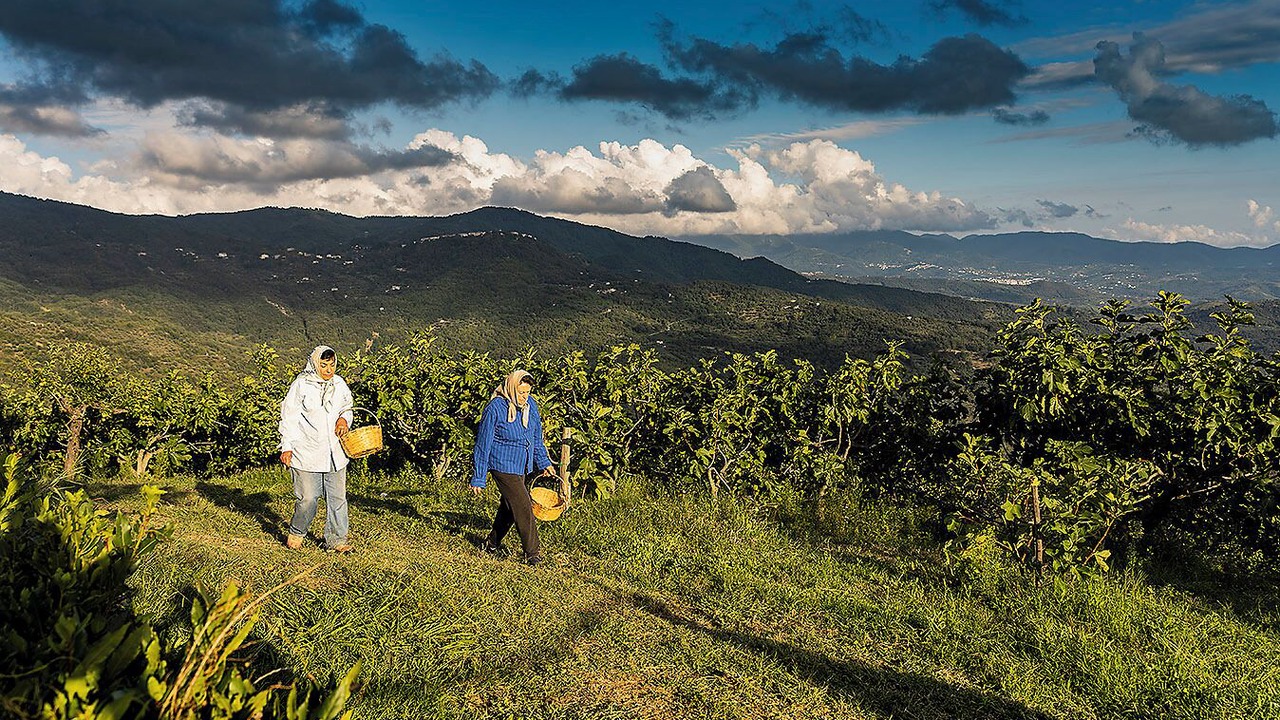 Photo of Others in Capaccio