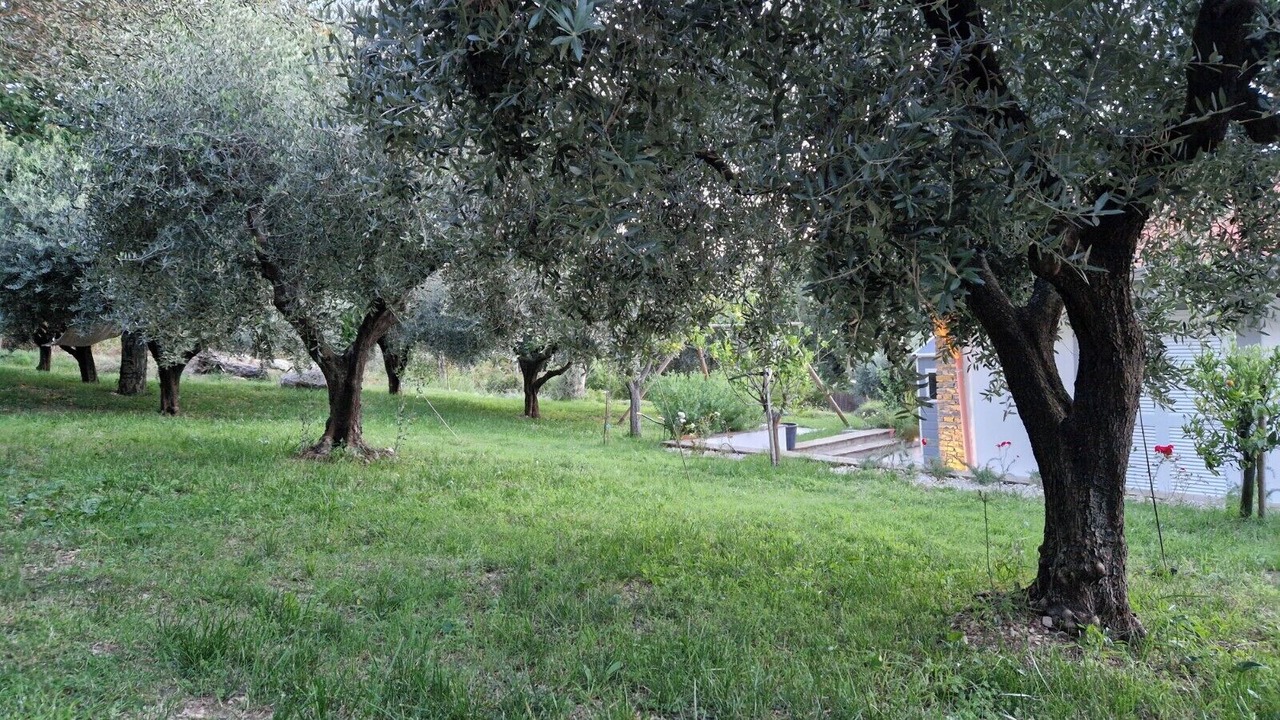 Photo of Outdoor in Capaccio